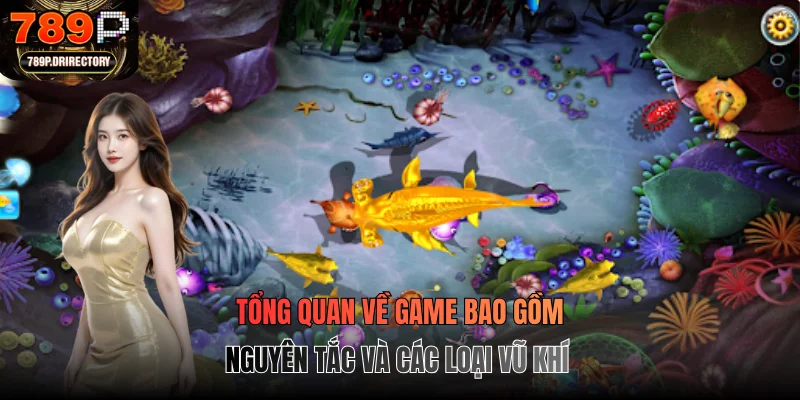 Tổng quan về game bao gồm nguyên tắc và các loại vũ khí