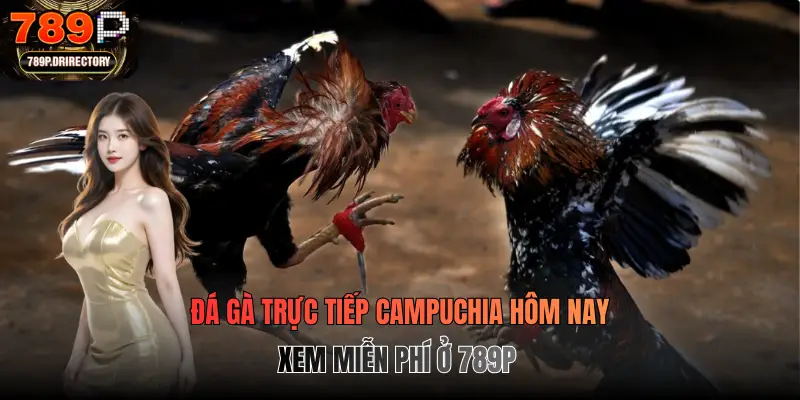 Đá Gà Trực Tiếp Campuchia Hôm Nay - Xem Miễn Phí Ở 789p